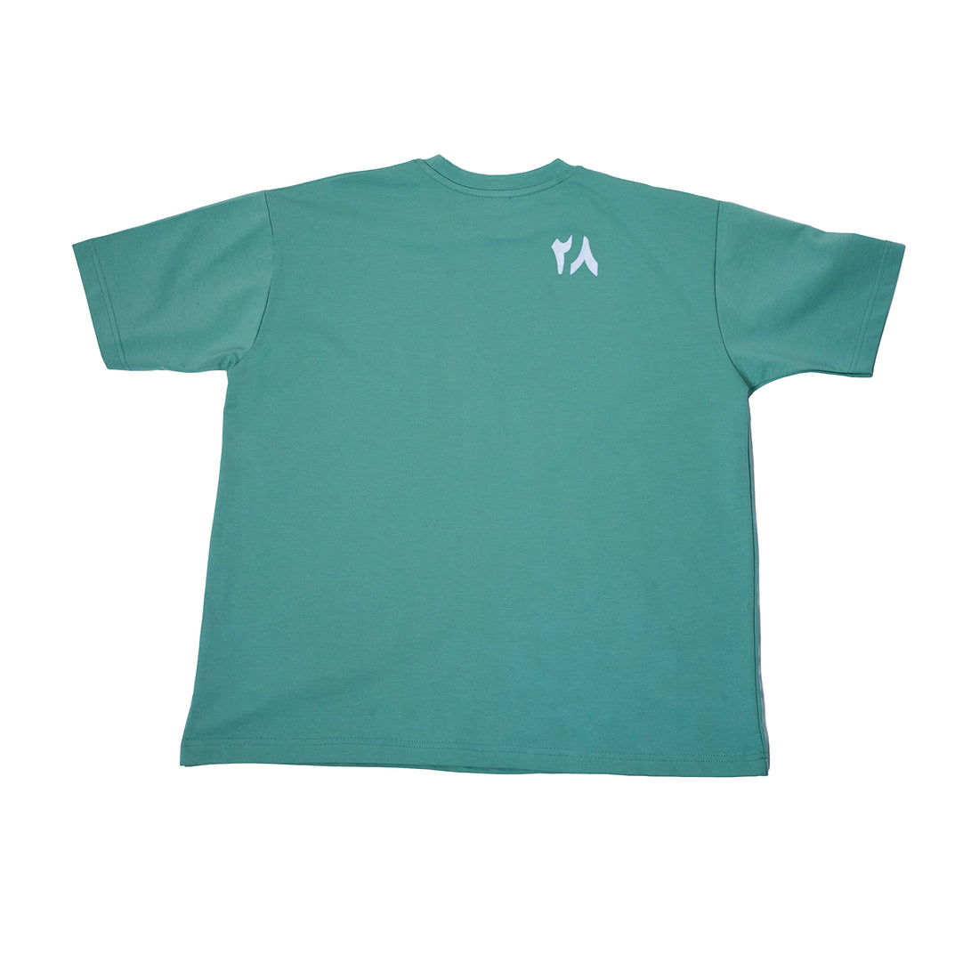 "Sunbuli Script" Oversized T-shirt in Pastel Green
