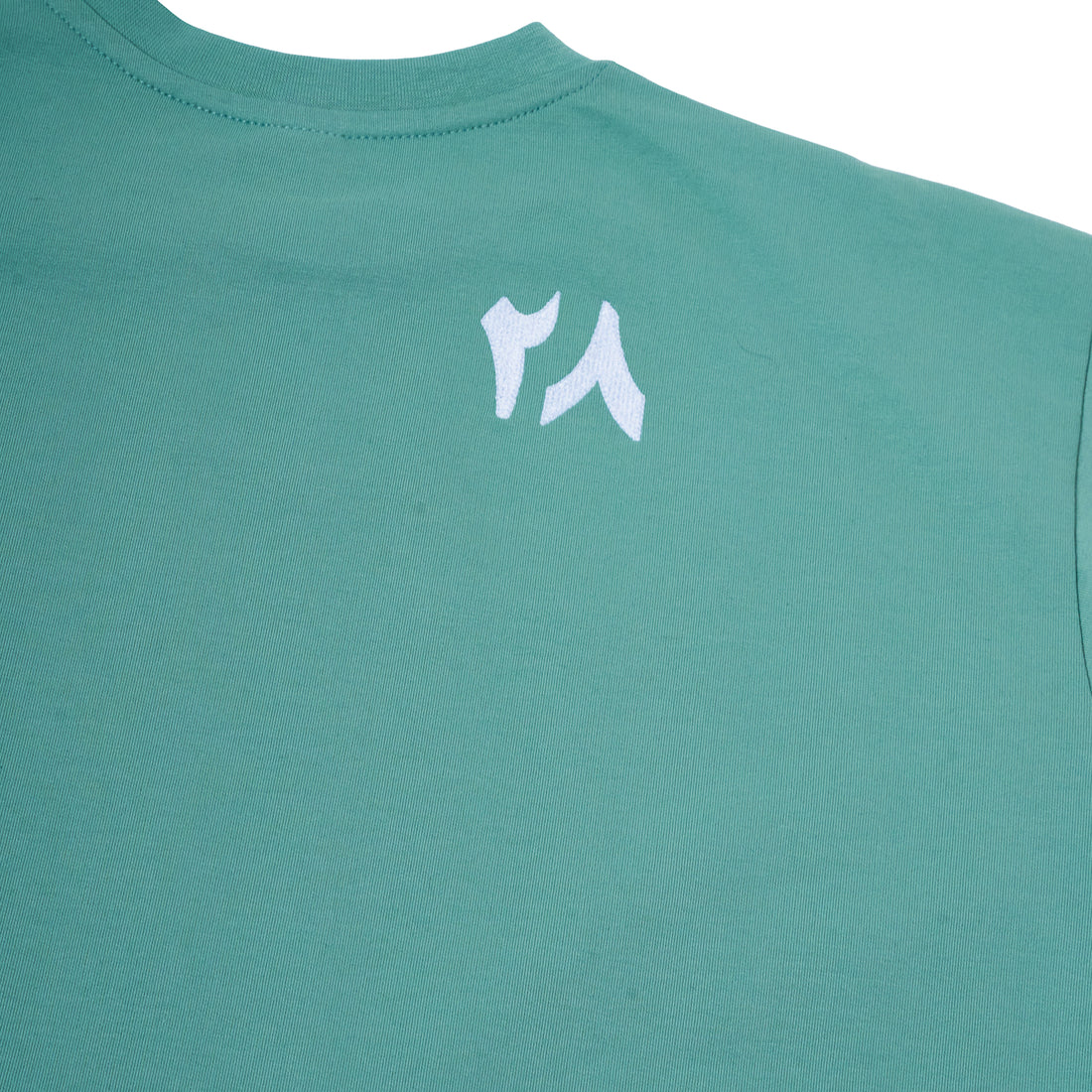 "Sunbuli Script" Oversized T-shirt in Pastel Green